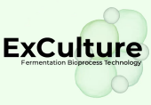 ExCulture logo
